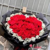 Hoa hồng đỏ (Red Rose)