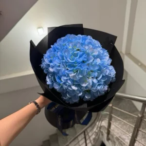 Hoa Cẩm Tú Cầu xanh